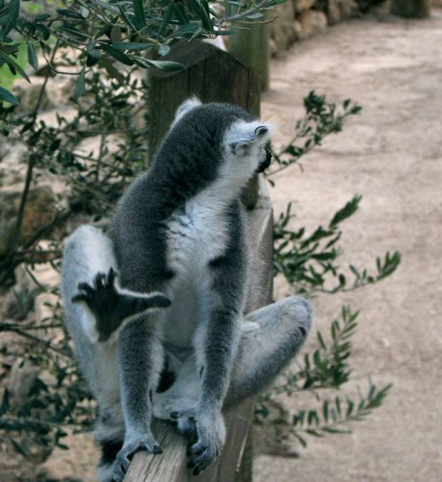 ����� ������� ������, ���� ���� �� �������!