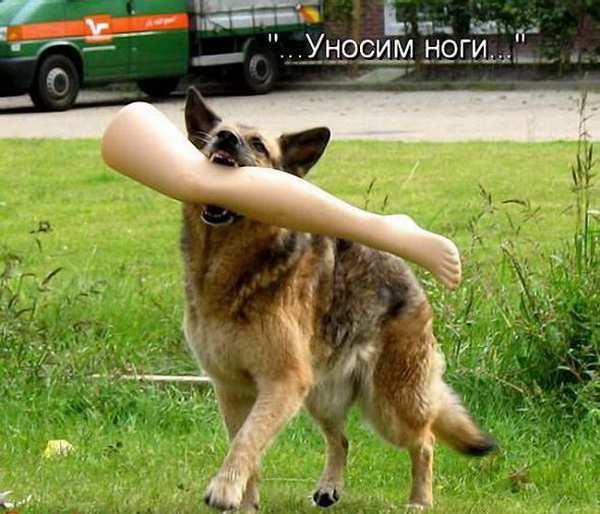 �������� �������