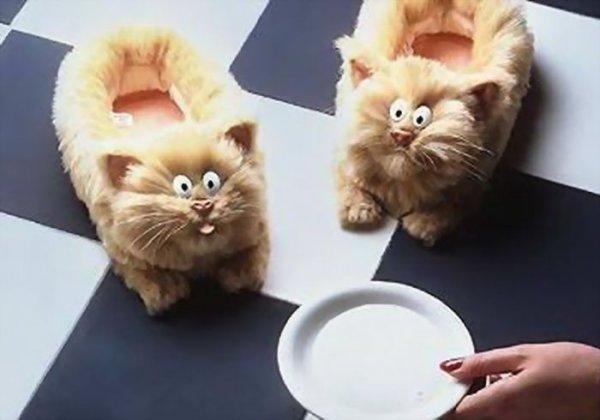 ���������� �������