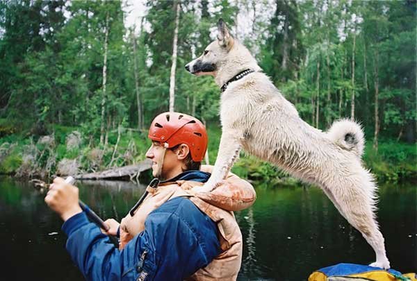 ���� � ��������