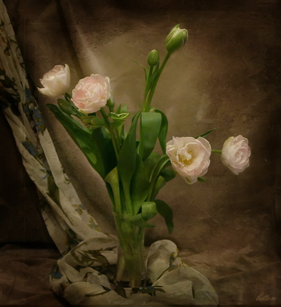 ������ ��� ����������