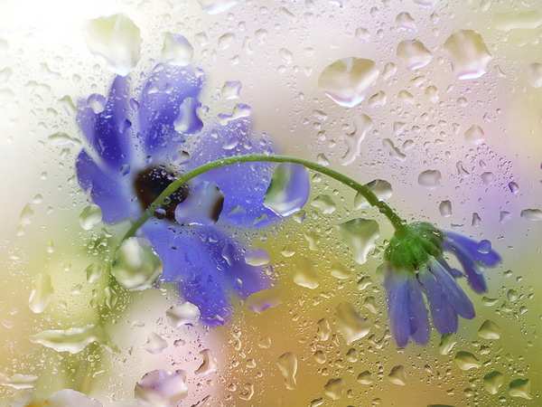 ���������� ������ �� Makushina Tatyana