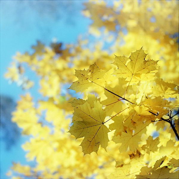 ���������� �������