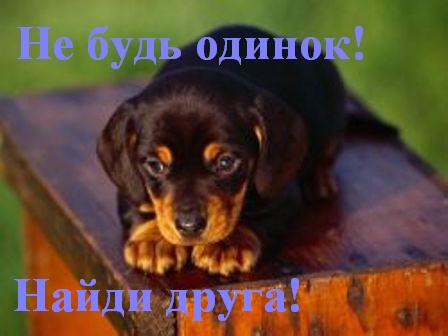 �� ���� ������!