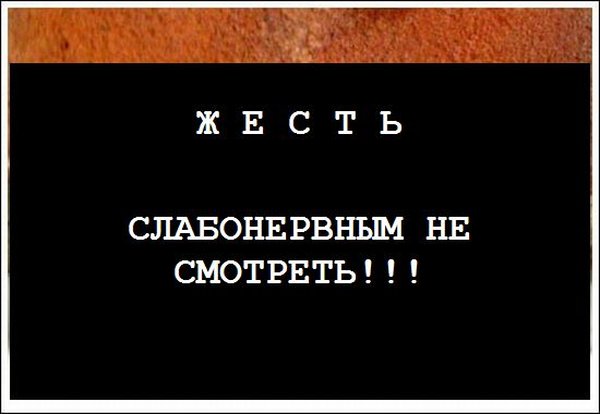 �����. ���������� ������ �� �������