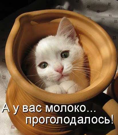 ��������� ����