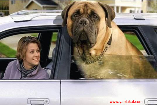 ��������� ������!