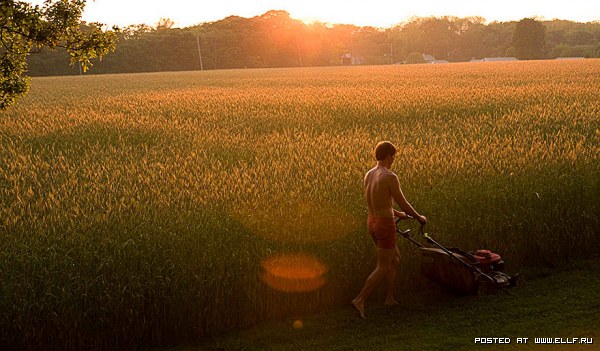 ������ �����