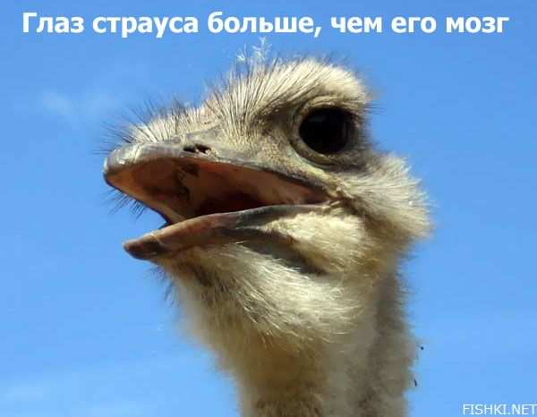 ���������� � ���������