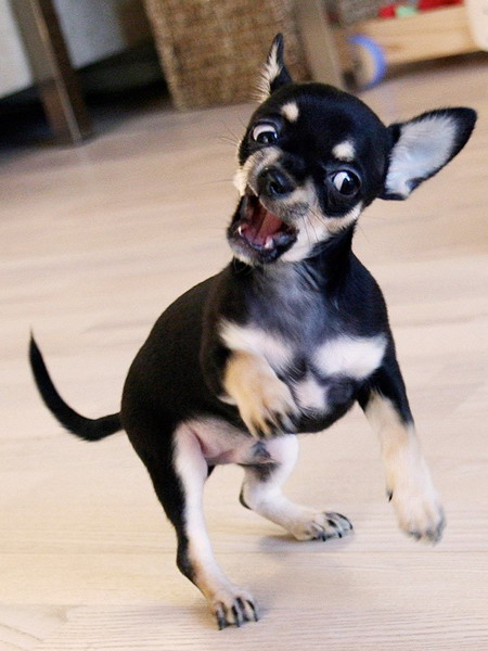 ��� �������� �������� ����� 5