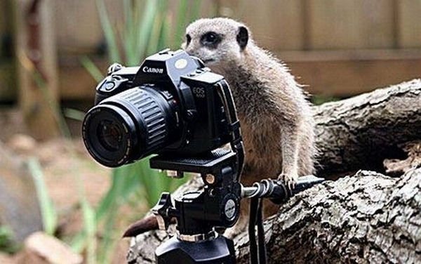 ���������-��������