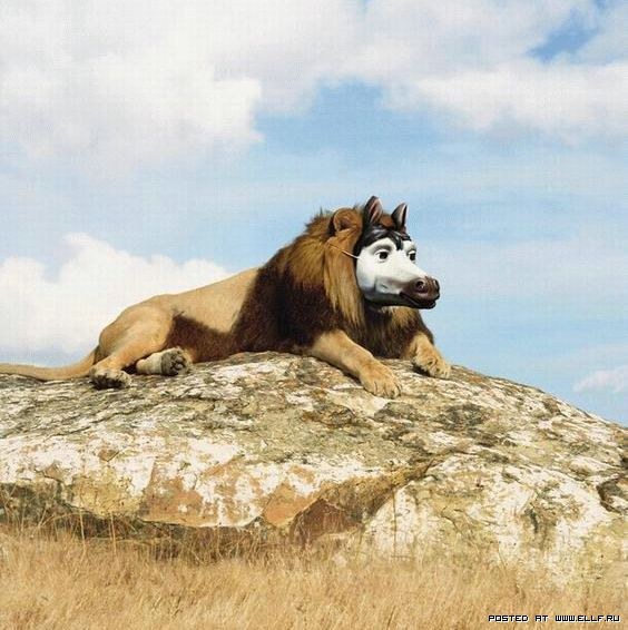 ����������