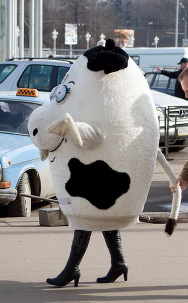 ��� �����������