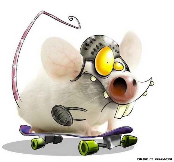 �������� �������.