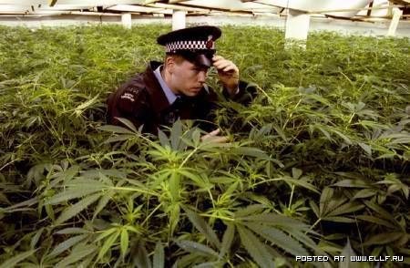 ���������� �����