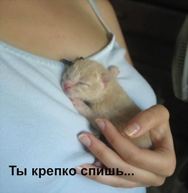 ������� ����