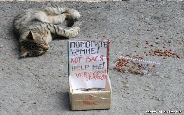 ��������!!