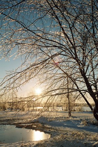 ����� ����..