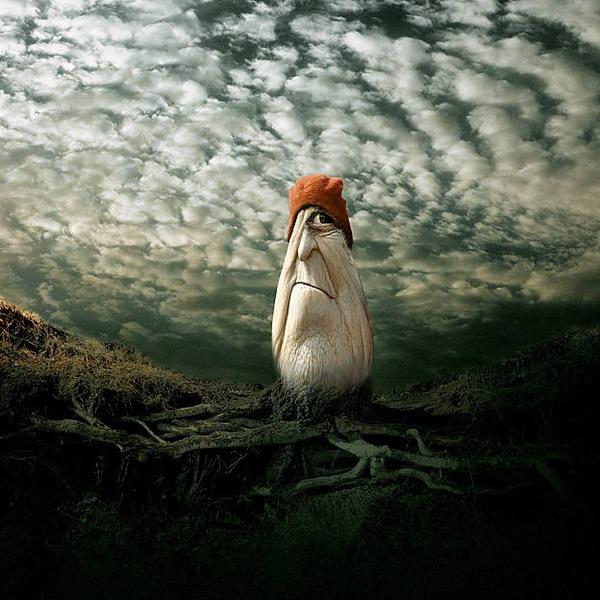 ���������� �������