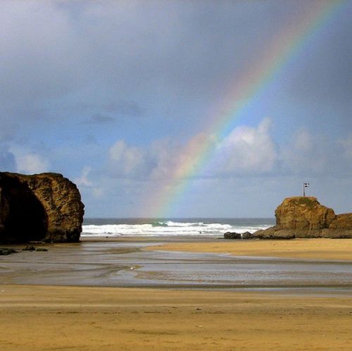 ���� ������ (7 ����)