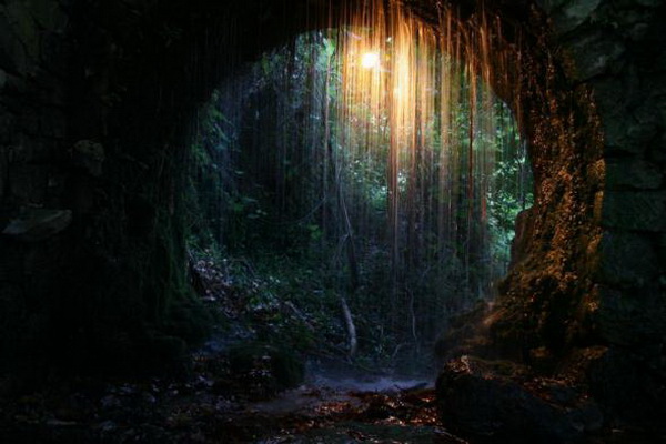 �������� �� ��� ������� �������