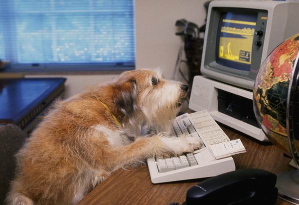 ���������� �������