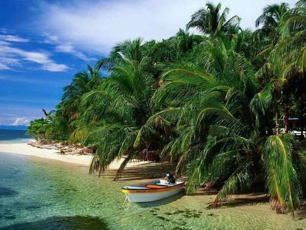 ������� ������ �����