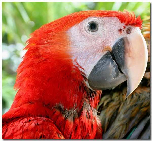 ��������� Nicaragua, ��� ��� �����...