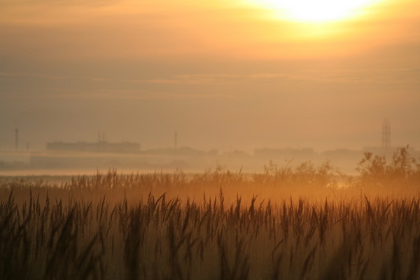 ���� �������. Twin Soul