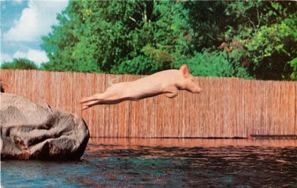 ������������